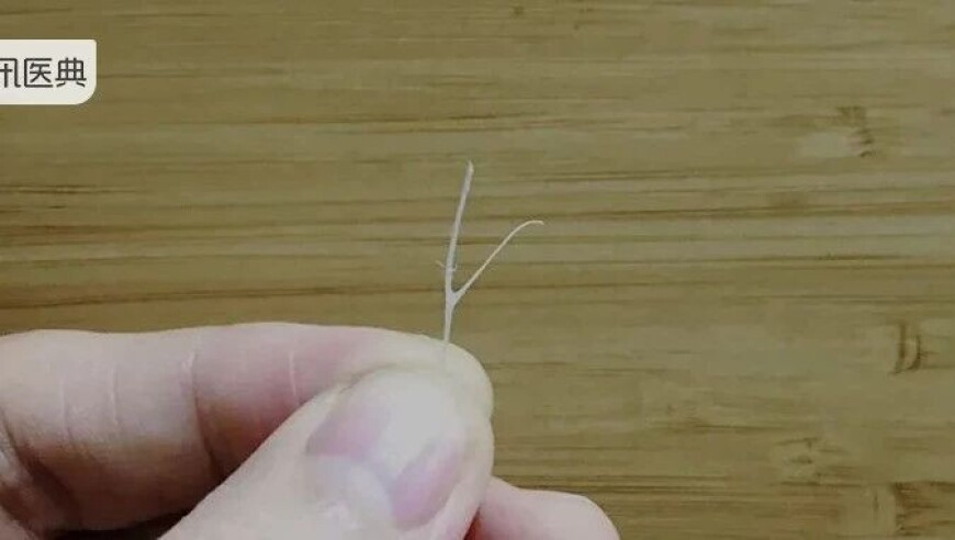女星苟芸慧与富三代老公陆汉洋离婚,香港二四六开奖资料大全202,整体规划执行讲解_云端版V11.51