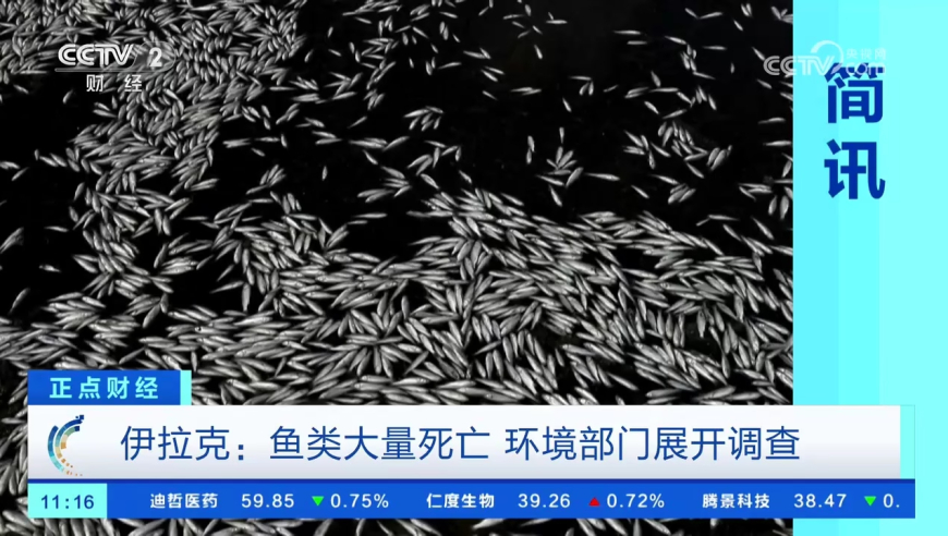 2656788历史开奖记录,新能源市场化改革新方案出台,确保成语解释落实的问题_定制版V13.51
