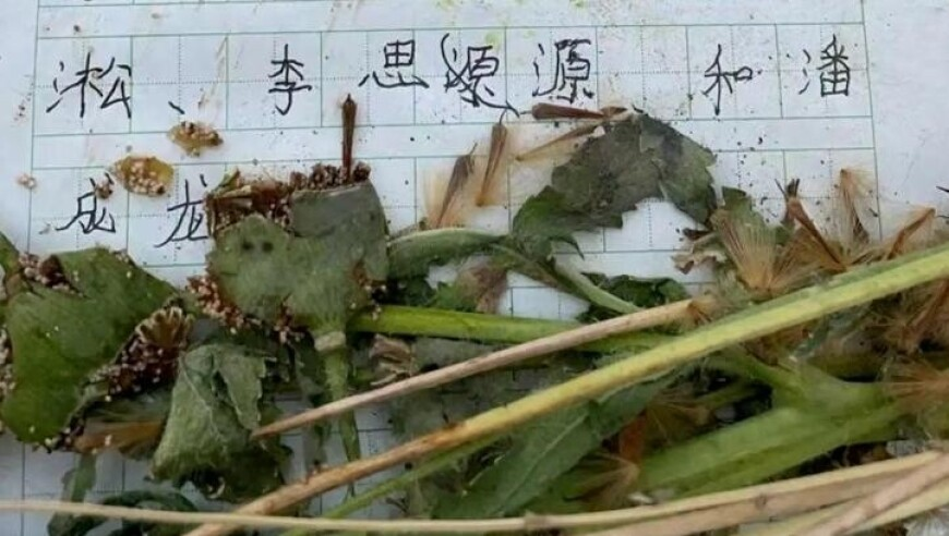 管家婆王中王开奖结果十记录930,欧盟拟反制美国加征关税,展开计划实施_粉丝版V11.76